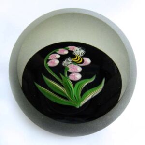 Correia Hummel Bumblebee von Chris Buzzini