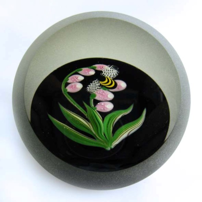 Correia Hummel Bumblebee von Chris Buzzini