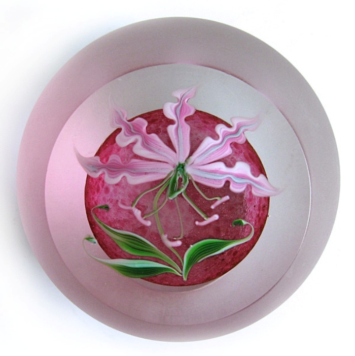 Correia Orchidee von Chris Buzzini