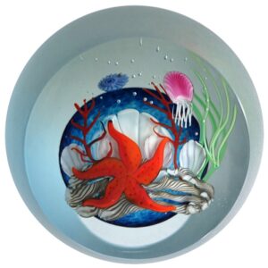 Correia Unterwasserwelt Seestern von Chris Buzzini