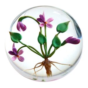 Violetts von Chris Buzzini