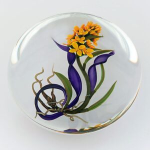 Western Wallflower von Chris Buzzini