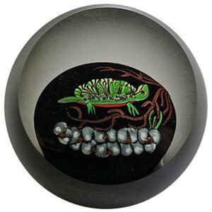 Schildkroete Turtle von Art-Glass Correia