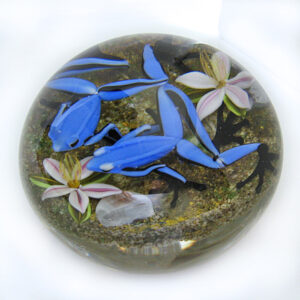 Blaue Pfeilgiftfroesche von Onofrio-Jim D