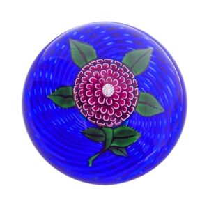 Pompondahlie von John Deacons