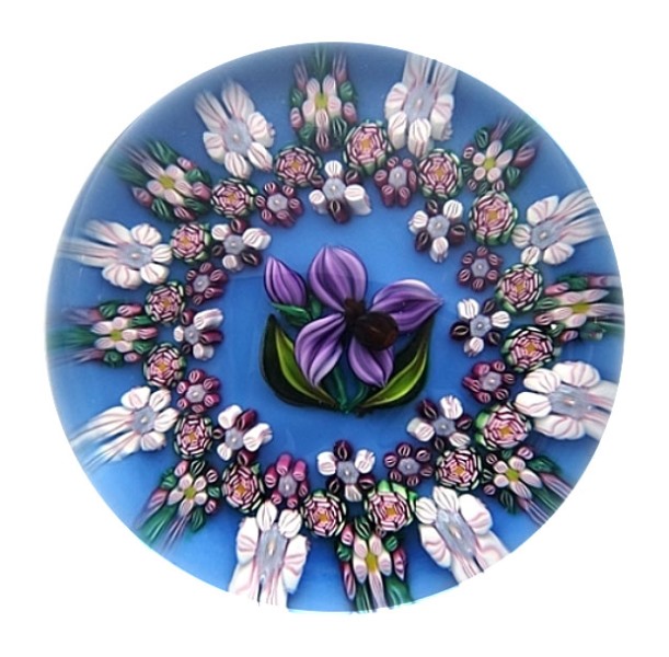 Fox Sue Millefiori Chiara von Drew Ebelhare