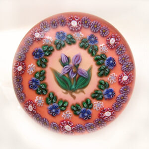 Fox Sue Millefiori Miranda von Drew Ebelhare