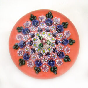 Fox Sue Millefiori Nobility von Drew Ebelhare