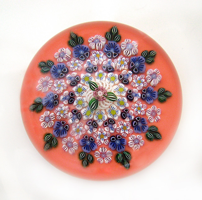 Fox Sue Millefiori Nobility von Drew Ebelhare