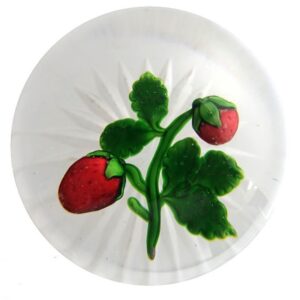 Erdbeere