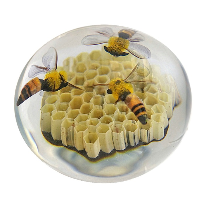 Bienenwabe Honey bees with hive von David Graeber
