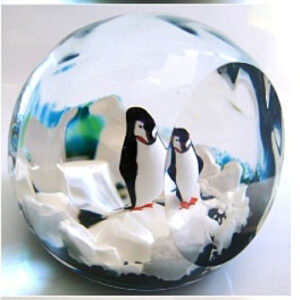 Selkirk Glass Pinguin im Eis von Peter Holmes