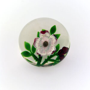 Selkirk Glass Wild Rose von Peter Holmes