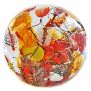 Orangerie von Tami King
