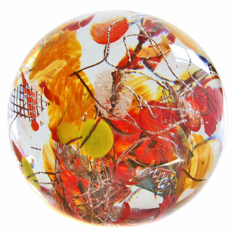 Orangerie von Tami King