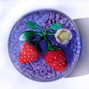 Erdbeeren mit Bluete von James Kontes