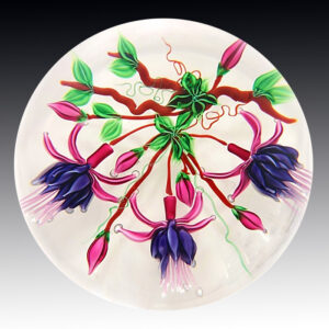 Fuchsie von Richard Loesel