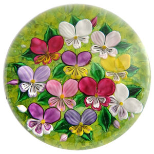 Pansy Stiefmuetterchen Pensees von Richard Loesel