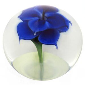 Blaue Blume der Romantik von Daniel Lotton