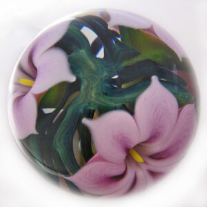 Lavender Dragon Lily von Studio Lotton