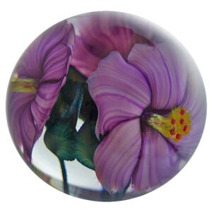 Lila Hibiskusblueten von Studio Lotton