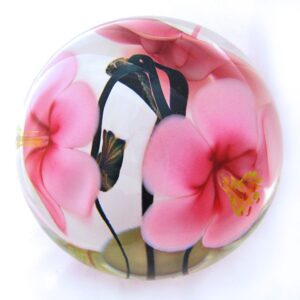 Pink Hibiskusblueten von Studio Lotton