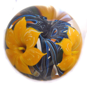 Yellow Dragon Lily von Studio Lotton