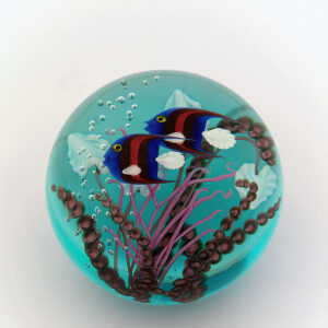 Aquarium von Steven Lundberg