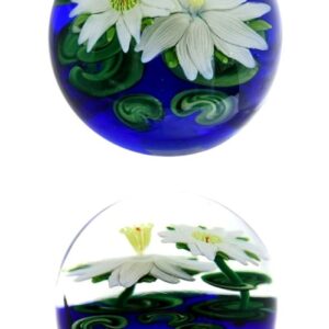 Lotusbluetenteich von Steven Lundberg