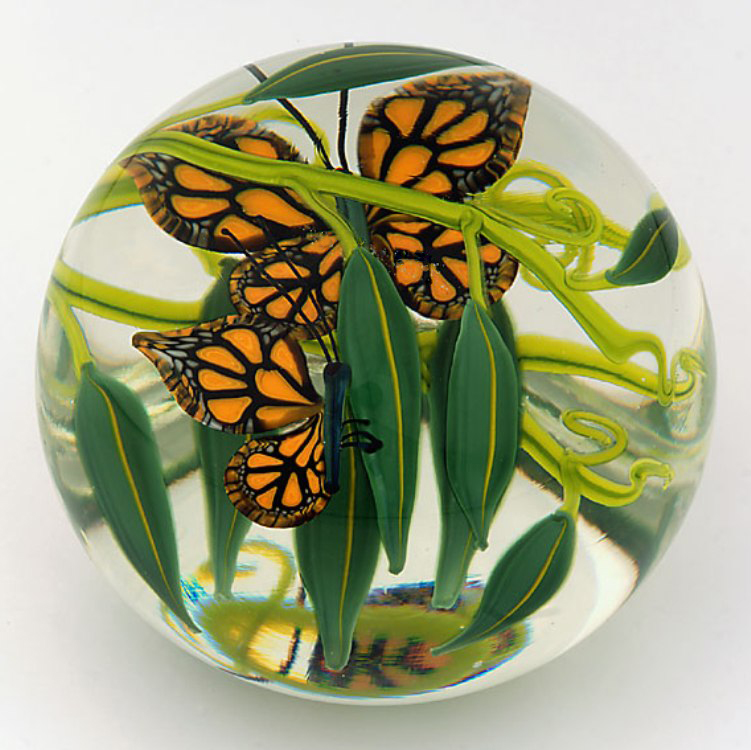 Monarchs Wanderung von Steven Lundberg