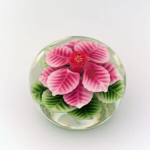 Pinke Passionsblume von Steven Lundberg