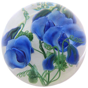 Blaue Gartenwicke Sweet Pea von Studios Lundberg