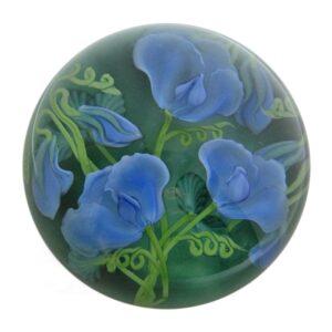 Blaue Gartenwicke Sweet Pea von Studios Lundberg