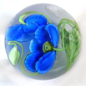 Blauer Mohn von Studios Lundberg