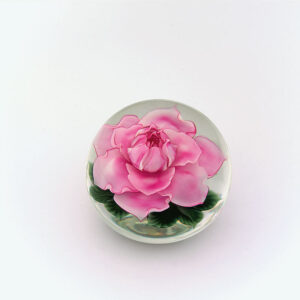 Julias Rose Miniatur von Studios Lundberg