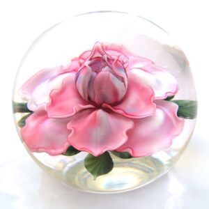 Julias Rose von Studios Lundberg
