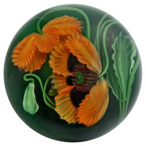 Orangefarbene Mohnblueten von Studios Lundberg