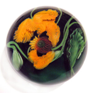Orangefarbene Mohnblumen von Studios Lundberg