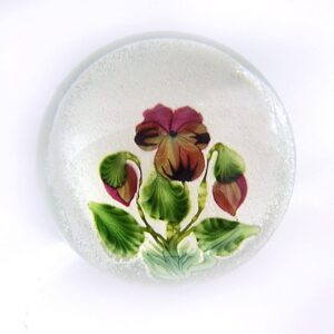 Pansy Stiefmuetterchen Miniatur von Studios Lundberg