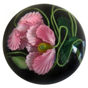 Rosa Mohnblumen von Studios Lundberg