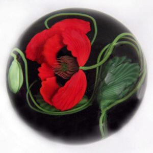 Roter Mohn von Studios Lundberg