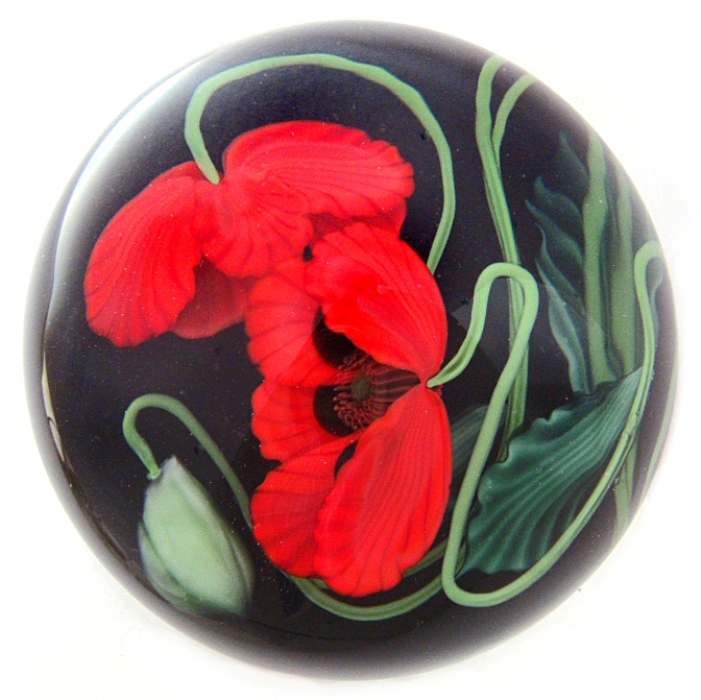 Roter Mohn von Studios Lundberg