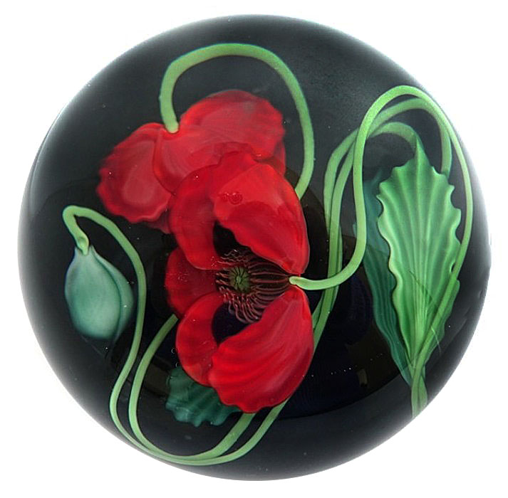 Roter Mohn von Studios Lundberg