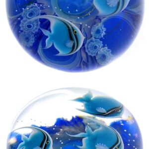 Tropischer Gezeitenpool blau von Studios Lundberg