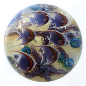 Tropischer Gezeitenpool von Studios Lundberg