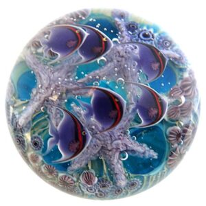 Tuerkis Tropical Tidepool von Studios Lundberg