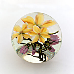 Tulpenmagnolien von Studios Lundberg