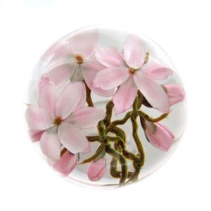Tulpenmagnolien von Studios Lundberg