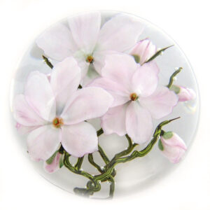 Tulpenmagnolien von Studios Lundberg