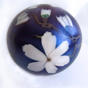 Weisse Tulpenmagnolien von Studios Lundberg